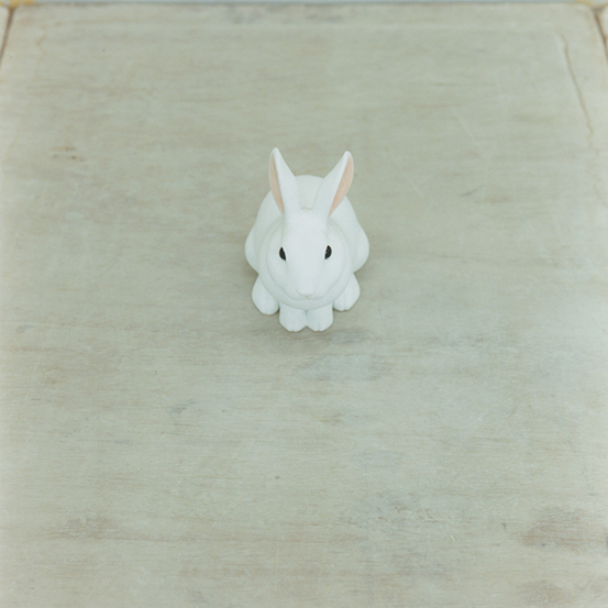 保井智貴さん
