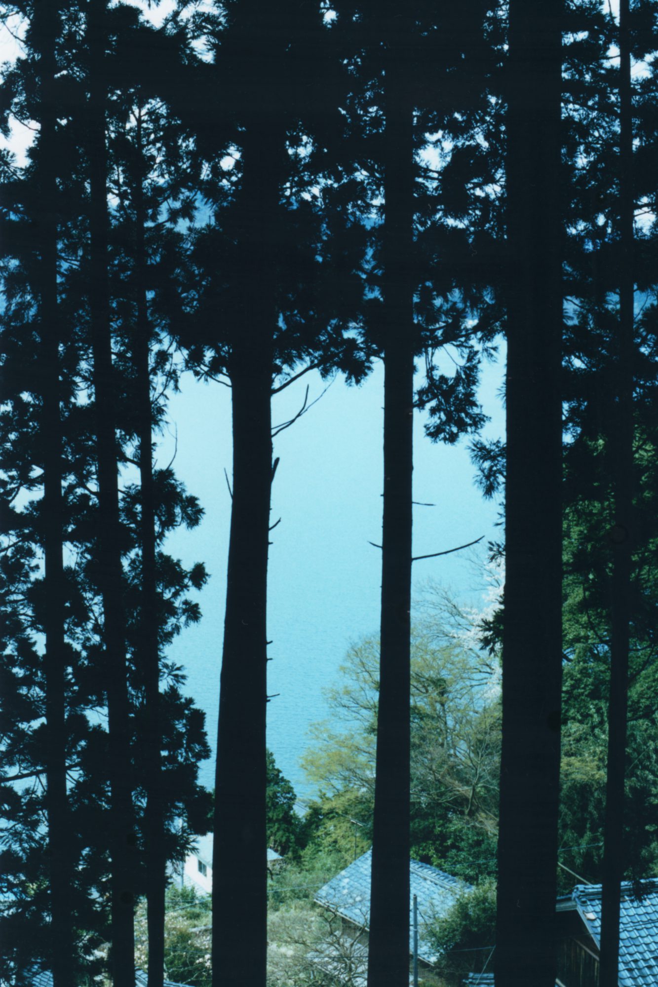 shiga