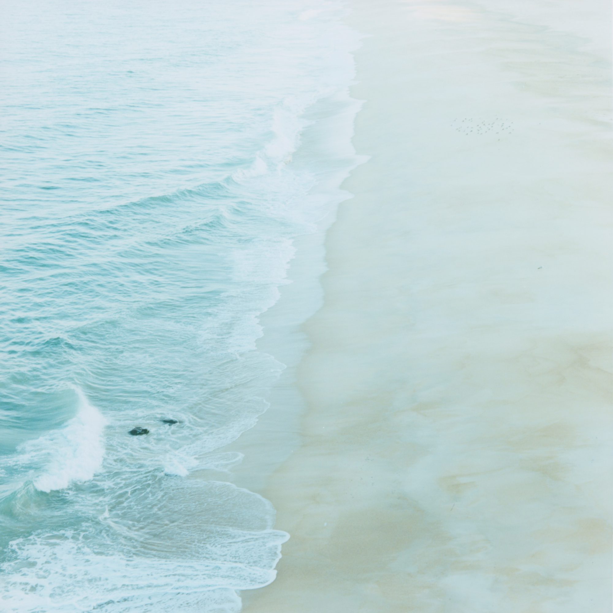 sea