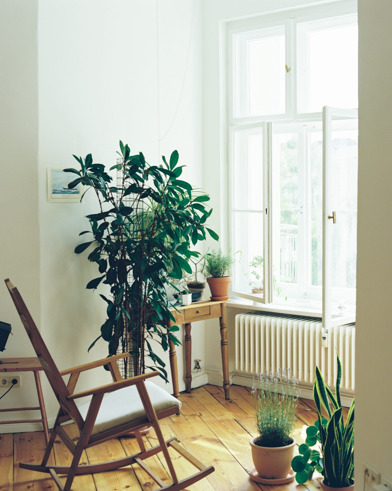 room