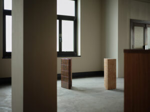 Alternative Artefacts Danto TERUHIRO YANAGIHARA STUDIO